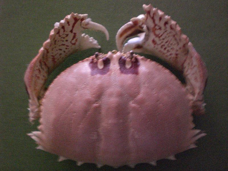 foto per sito 015.jpg